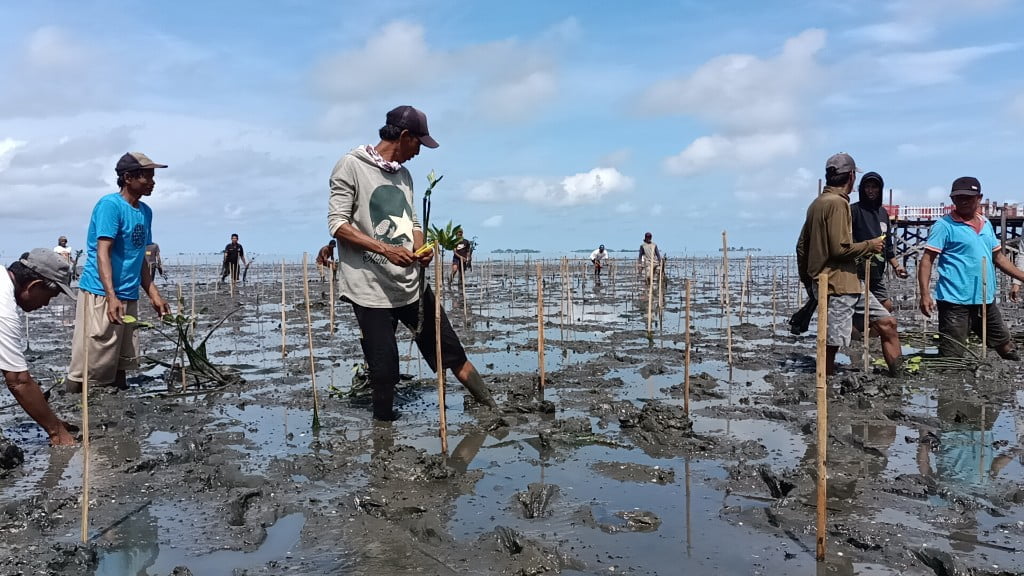 Program Desa Digital IM3 Dorong Transformasi Digital UMKM di Desa Bulu Cindea