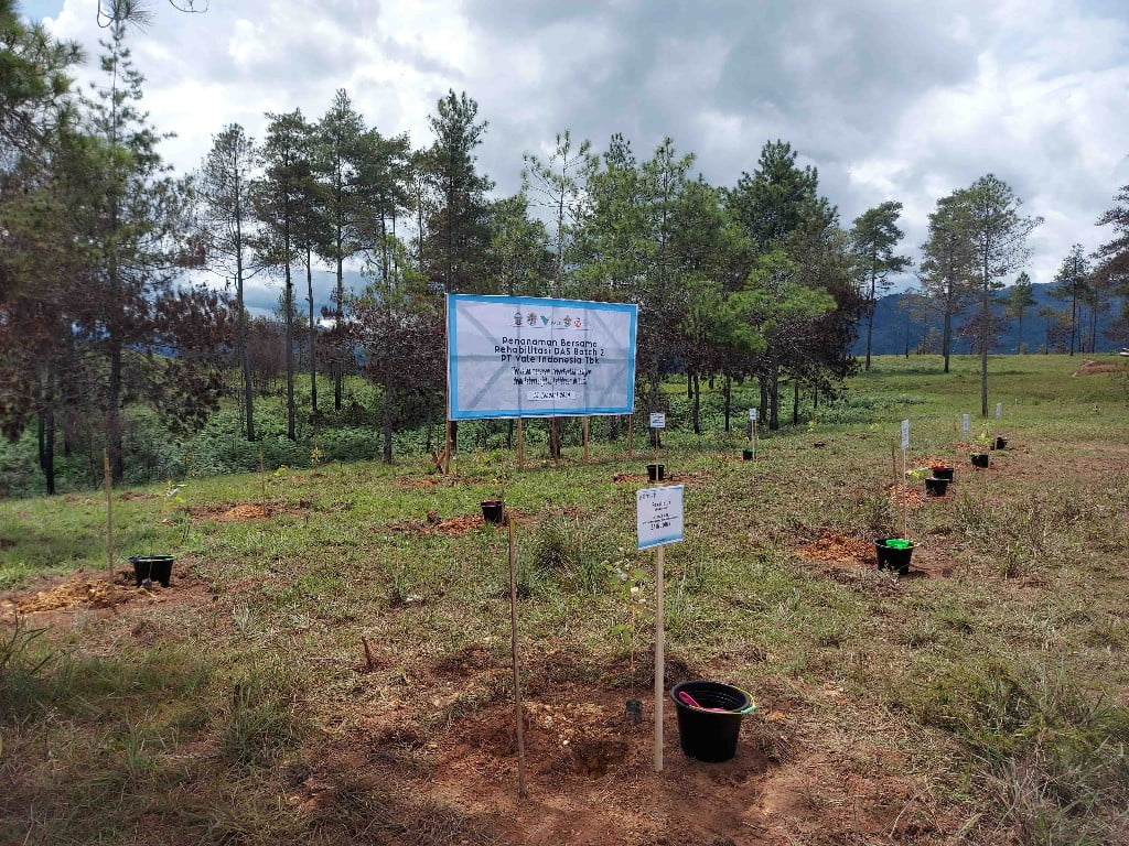PT Vale Rehabilitasi DAS di Tana Toraja, Tanam 424 Ribu Bibit Pohon